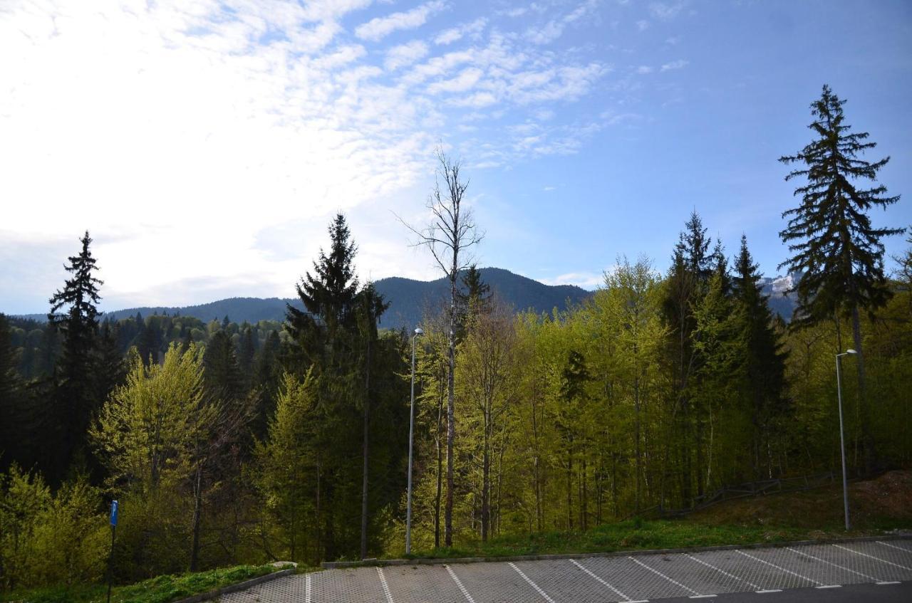 Silver Pine Apartment Пояна Брашов Екстериор снимка