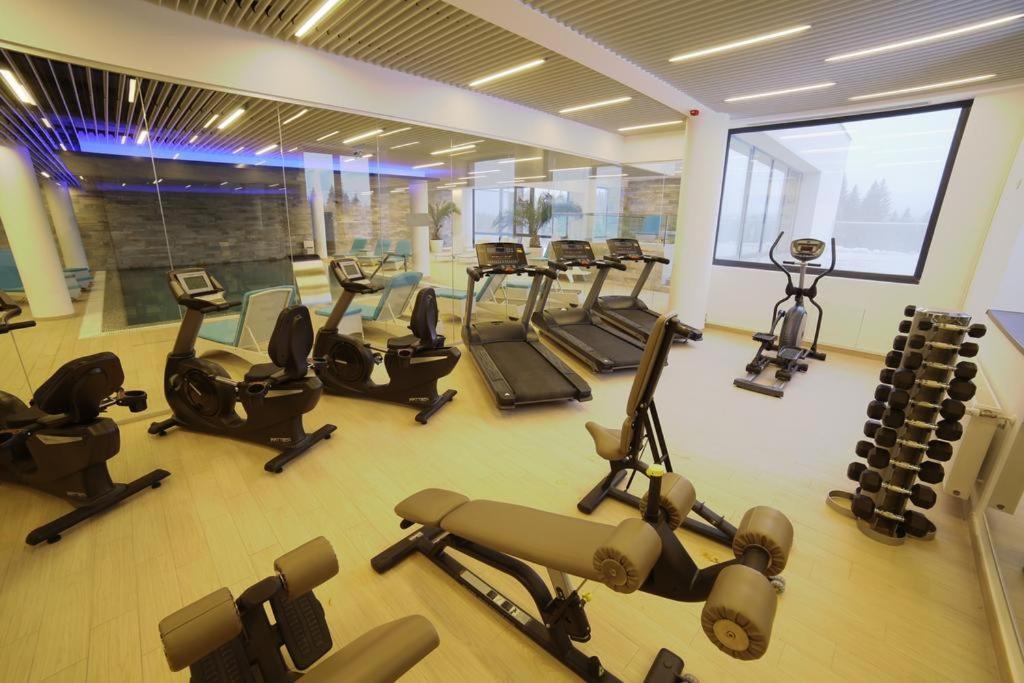 Silver Pine Apartment Пояна Брашов Екстериор снимка